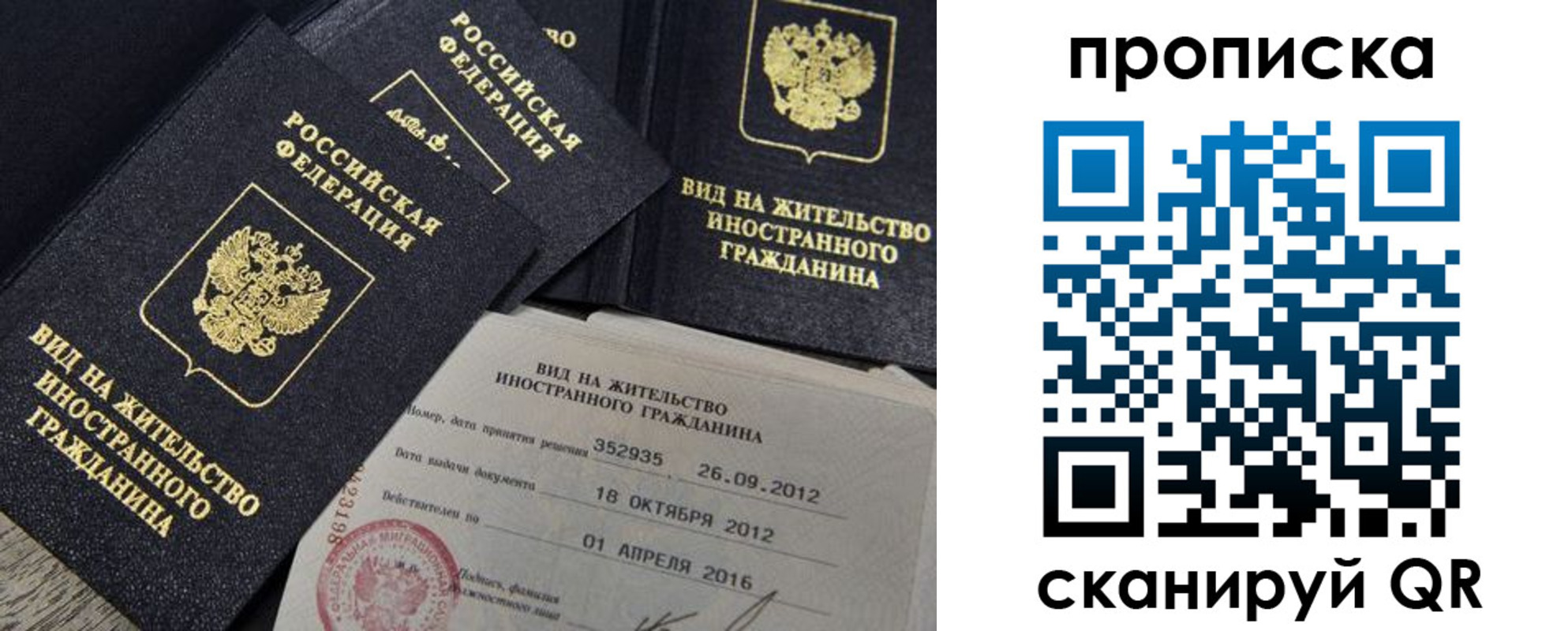 прописка в Павлово